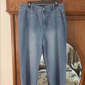Ann Taylor Blue Denim Jeans